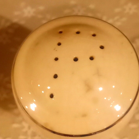 Vintage Universal Cambridge Iris Camwood Ivory- Salt & Pepper Set - Picture 4 of 12